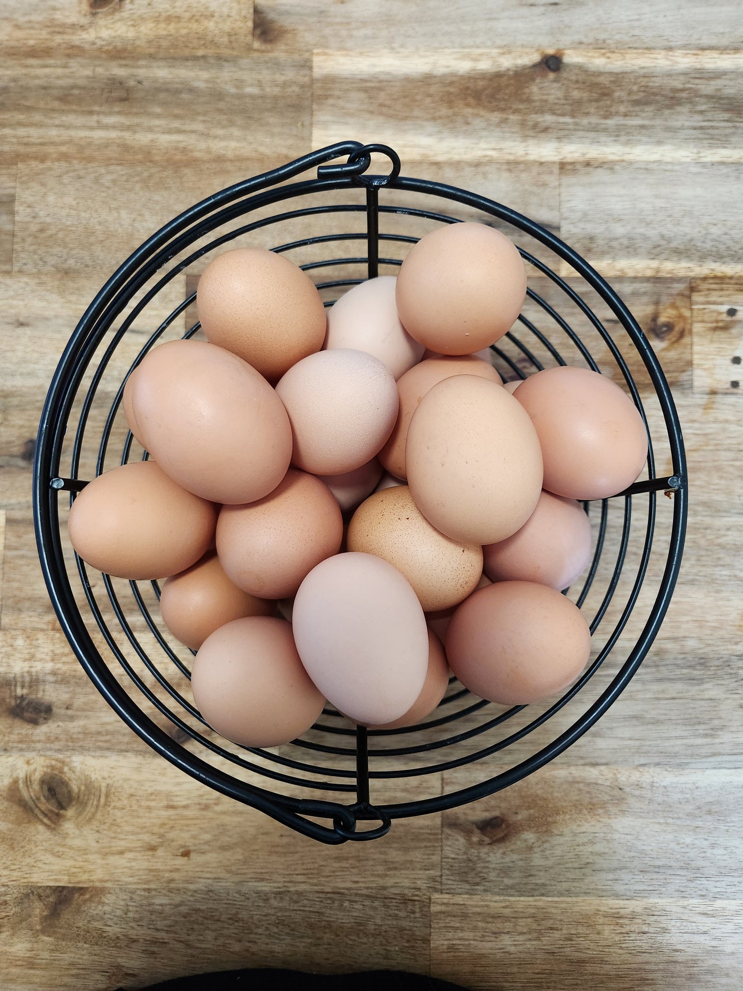 Free Range Eggs