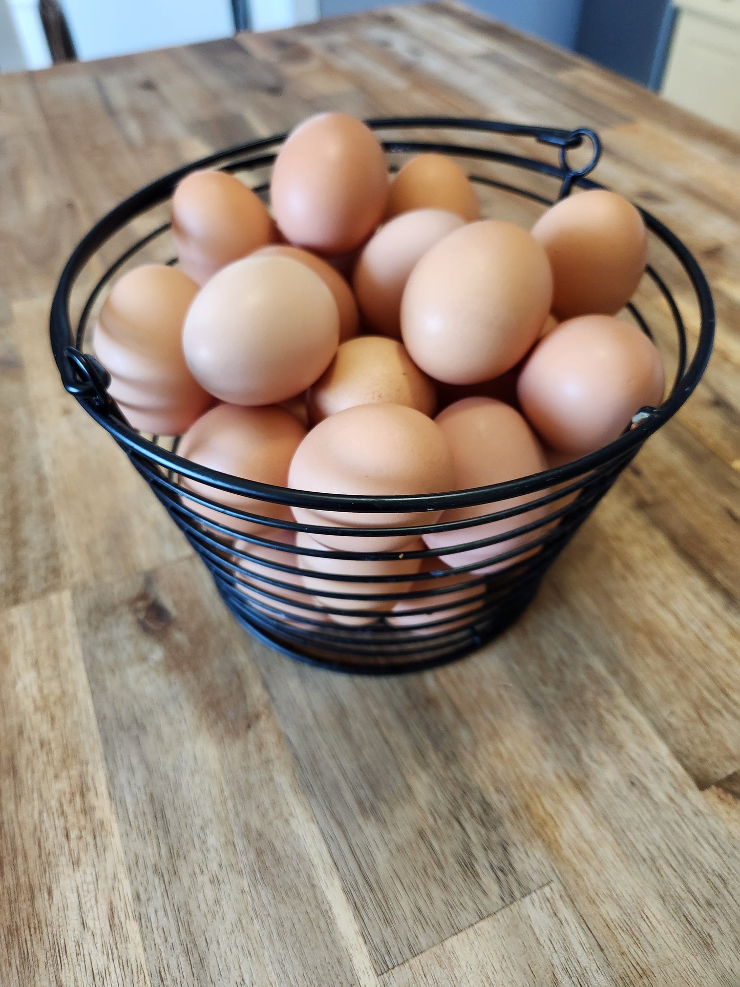 Free Range Eggs